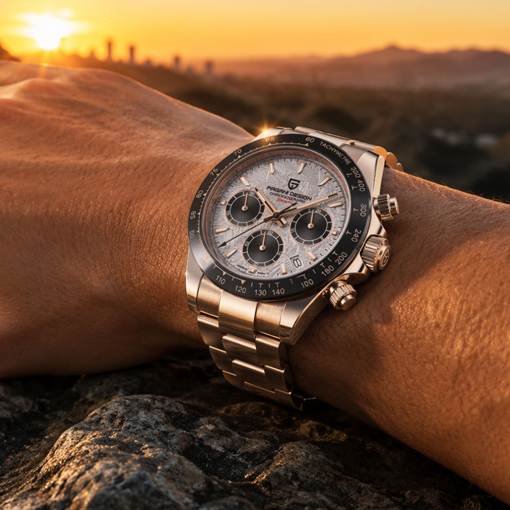 Topmerk PAGANI DESIGN Luxe her - Fashion Mens Watches recensie en prijs
